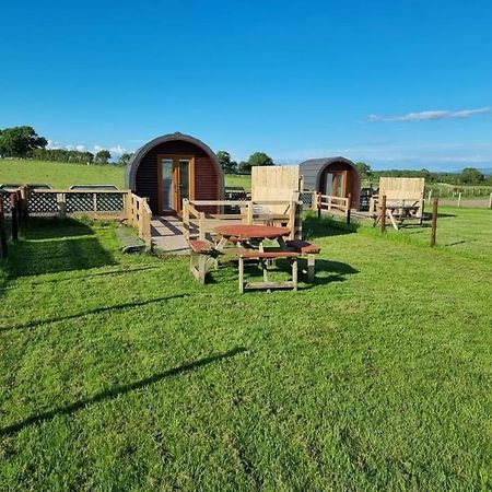 Unit 4 - Skiddaw View Camping Pod Carlisle  Luaran gambar